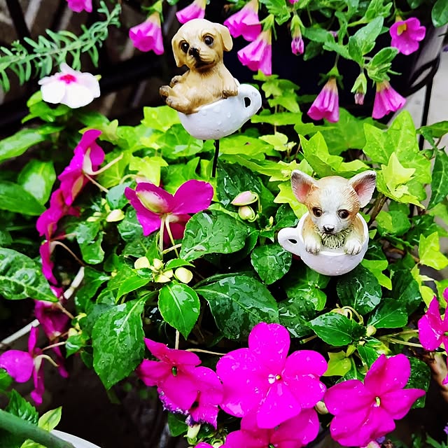katさんの部屋