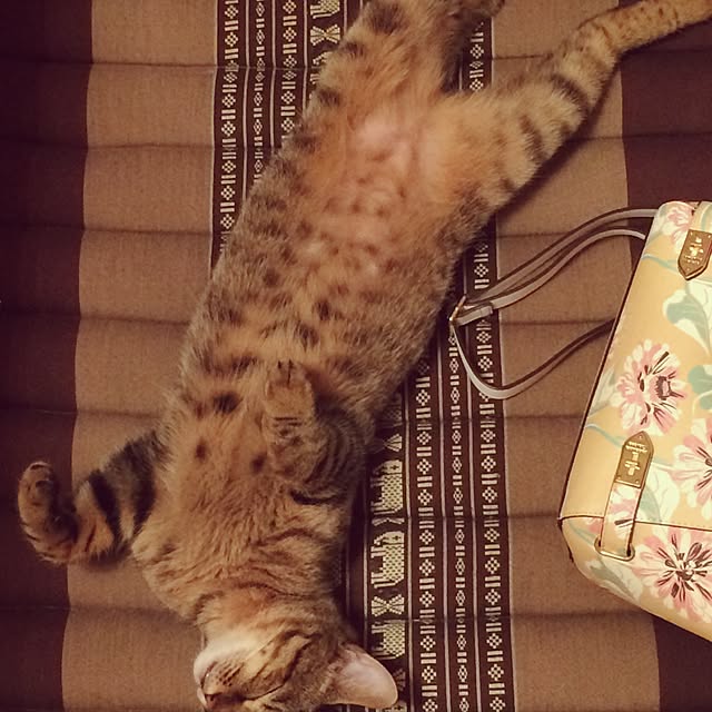 uraraさんの実例写真