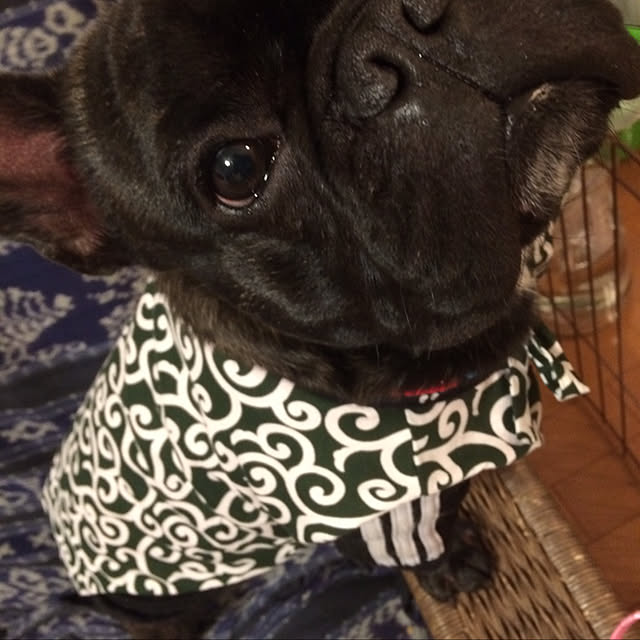 実例写真