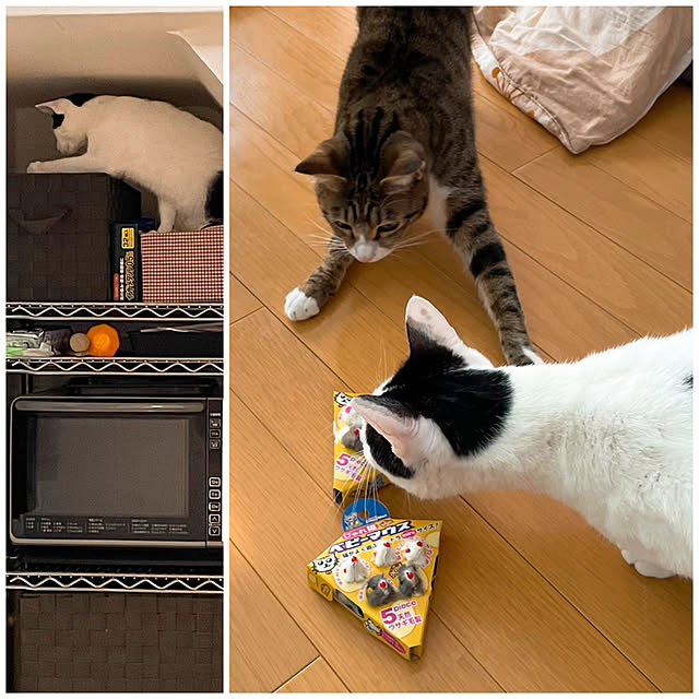 nobikoさんの実例写真