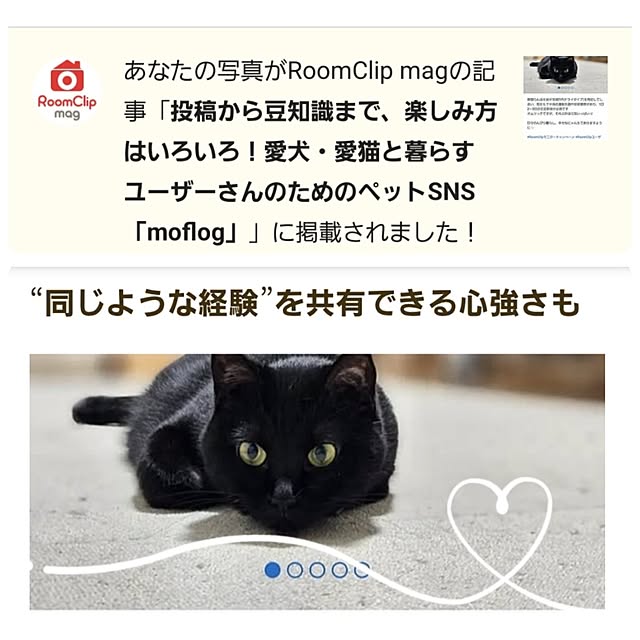 koyurizuさんの実例写真