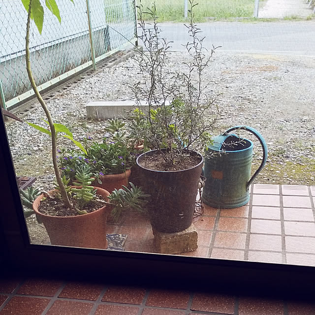 youkon1027さんの実例写真