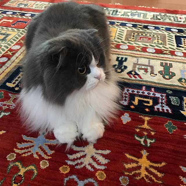 asukinokoさんの実例写真