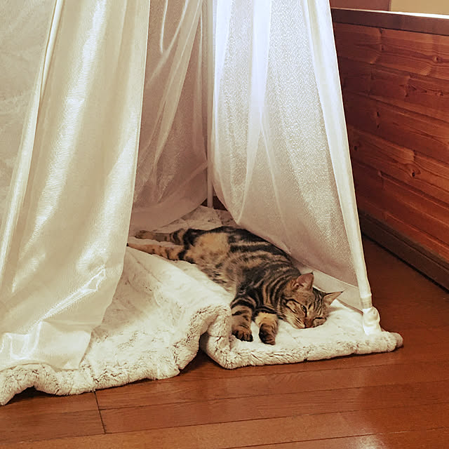 necomuraさんの実例写真