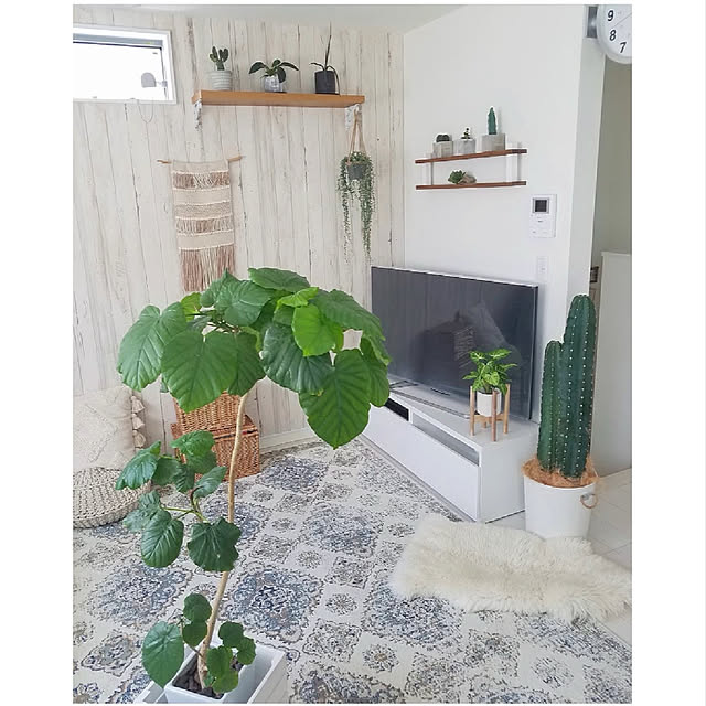 ホワイトインテリア/建売住宅/DIY/木が好き/多肉植物...などのインテリア実例 - 2021-09-15 20:18:47