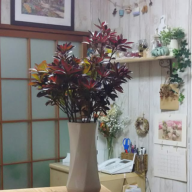 naopyiさんの実例写真