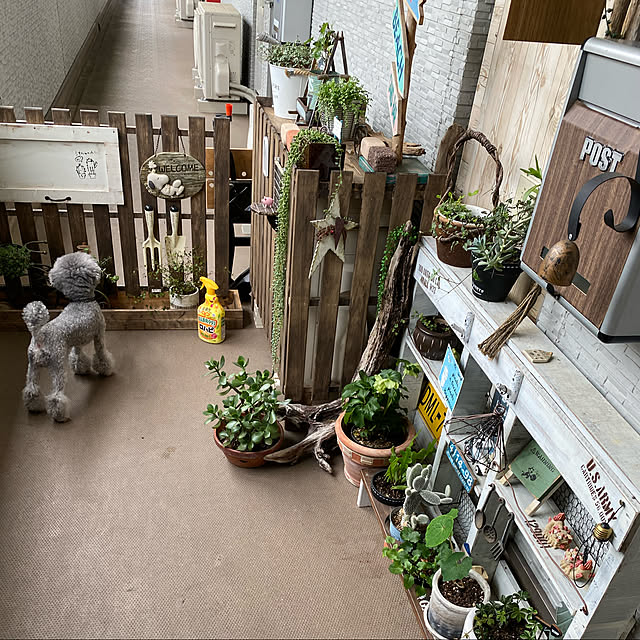 meguko.ryanさんの実例写真
