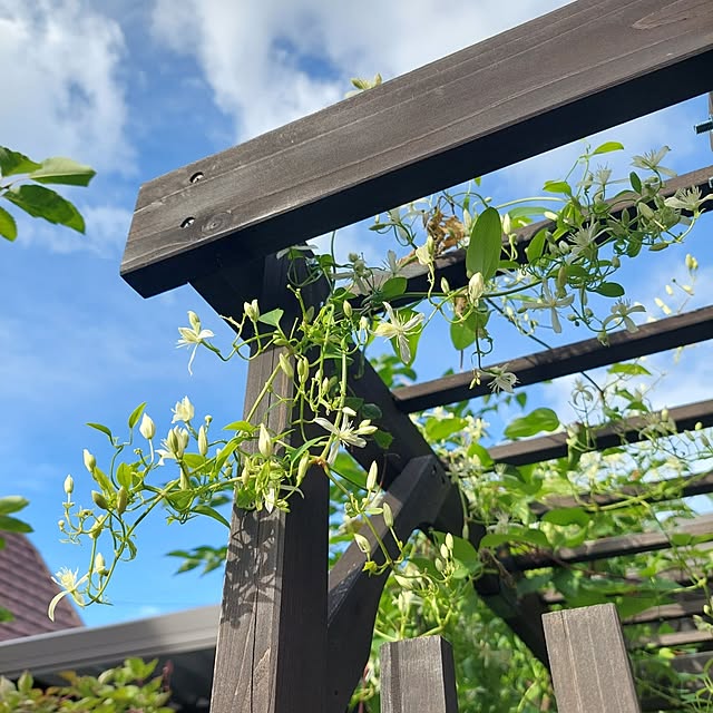 heyasukiさんの実例写真