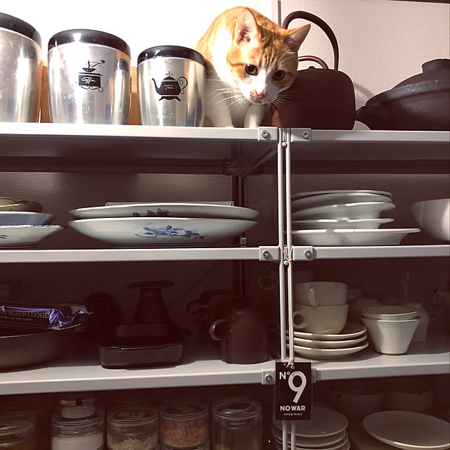 lalaさんの実例写真