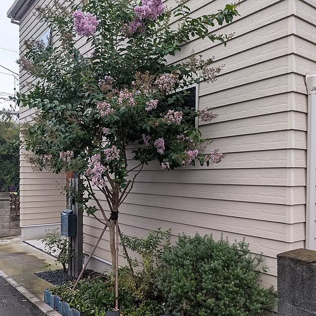 Maroさんの実例写真