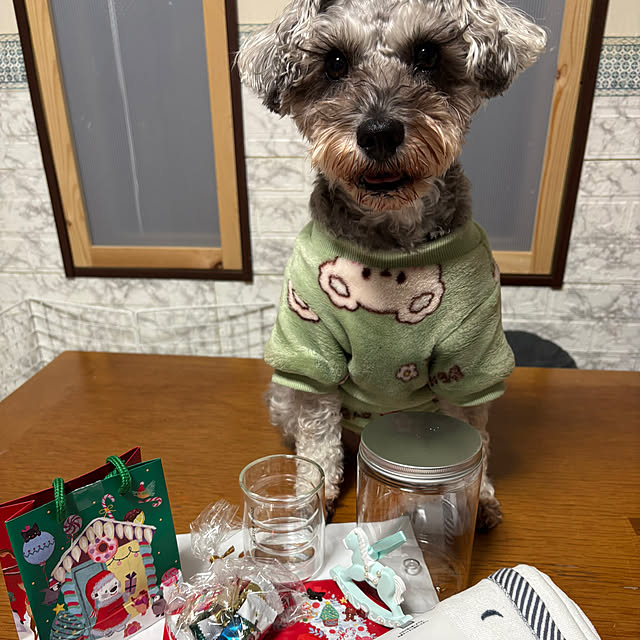 alchoさんの部屋