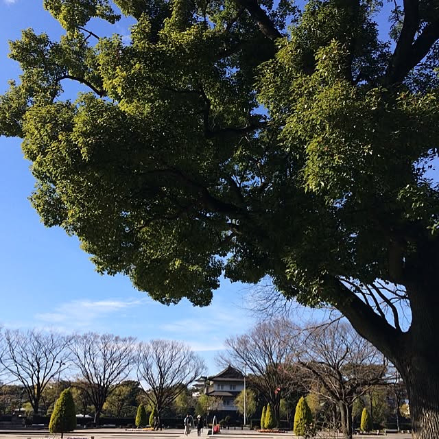 nontanさんの実例写真
