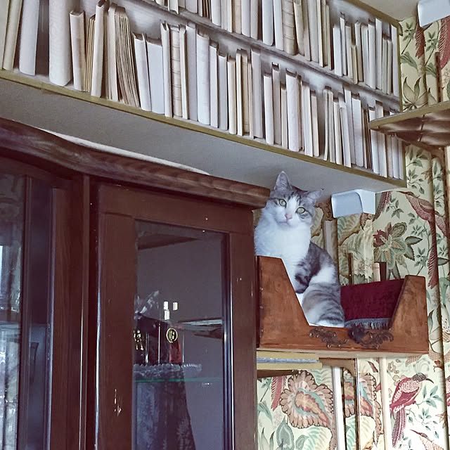 emmyyさんの実例写真