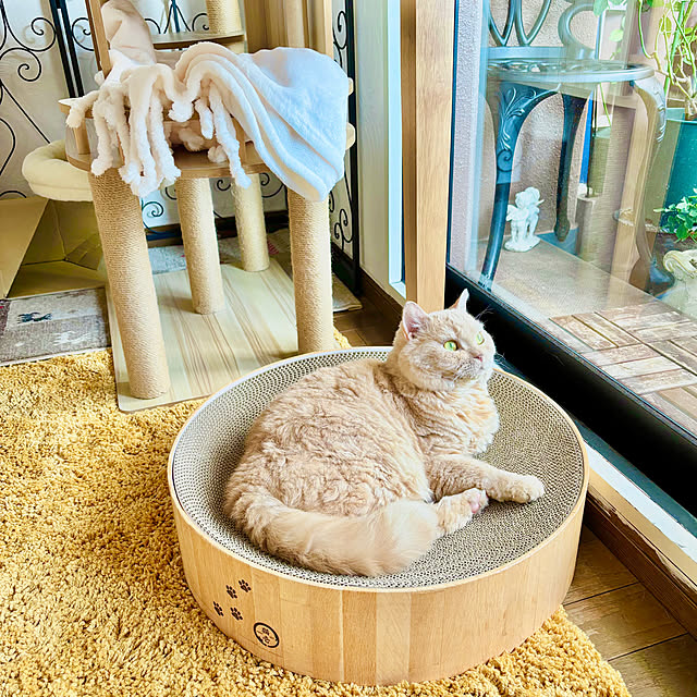 naokoさんの実例写真