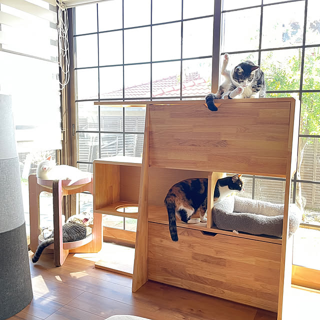 Yukinekoさんの部屋