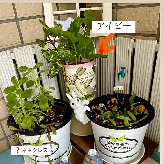 YuuKoさんの実例写真