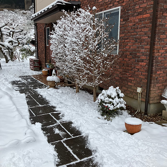 ikubooさんの実例写真