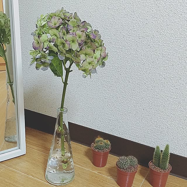 twrd_47さんの実例写真