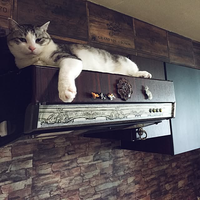 emmyyさんの実例写真