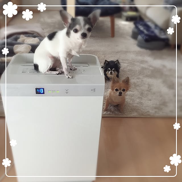 Emiさんの実例写真