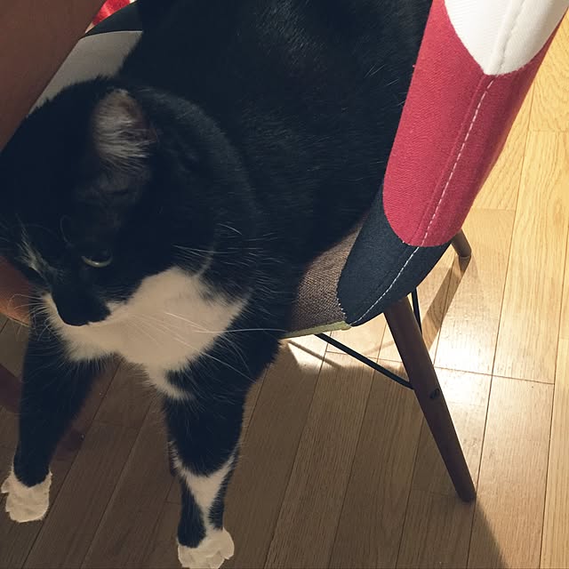 aketaさんの実例写真