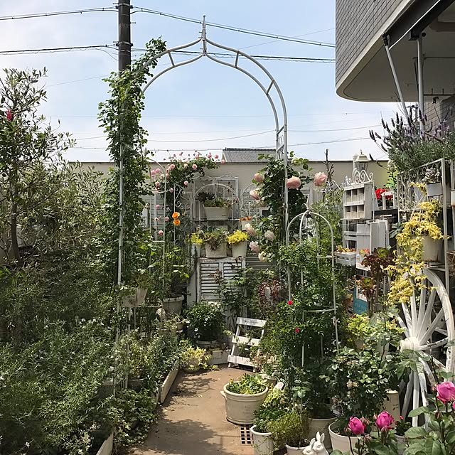 hideさんの実例写真