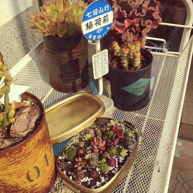 ppanさんの実例写真