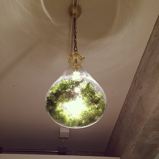 T.A.aさんの実例写真