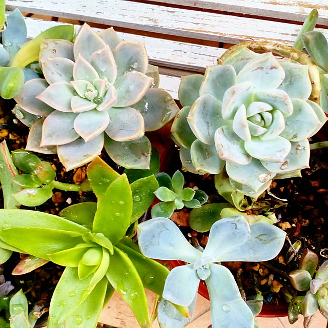 VERANDARJUNさんの実例写真