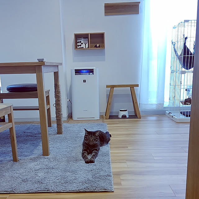 hihaさんの実例写真