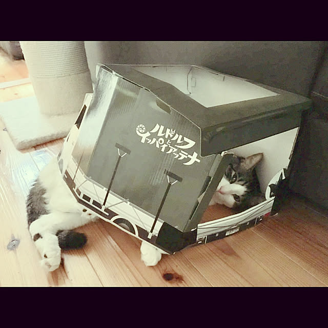 marusanさんの実例写真