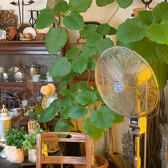 KAZさんの部屋