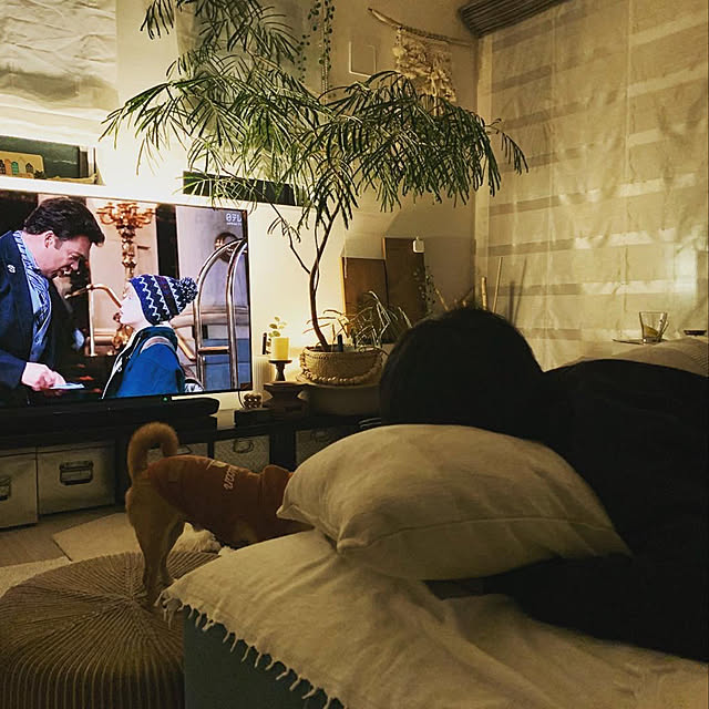 totaryuさんの実例写真