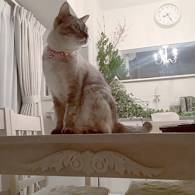 noelさんの実例写真