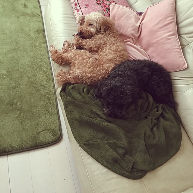 greenroseさんの実例写真