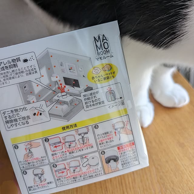 hihaさんの部屋