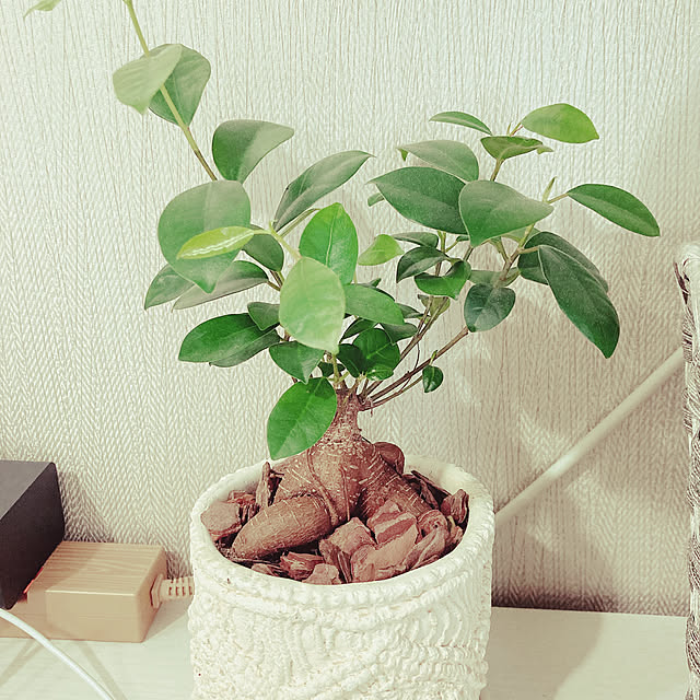 c_chanさんの実例写真