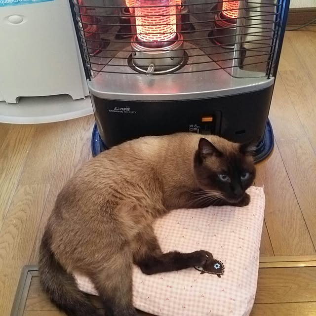 ricoさんの実例写真
