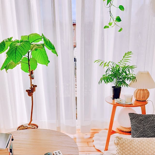 surviveさんの実例写真