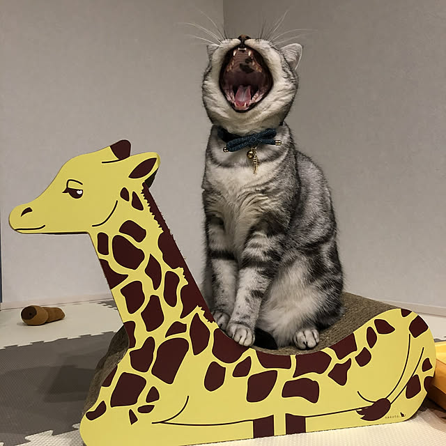 NANACOCOさんの実例写真