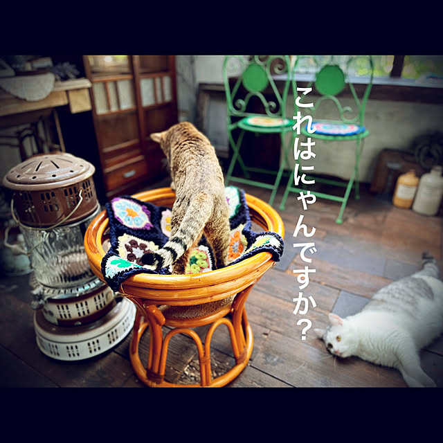 marusanさんの実例写真