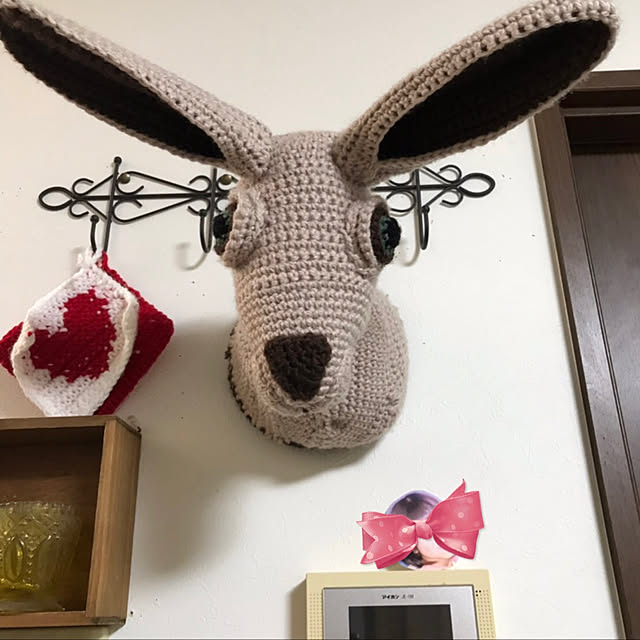 usa.kinako95cherittiさんの実例写真