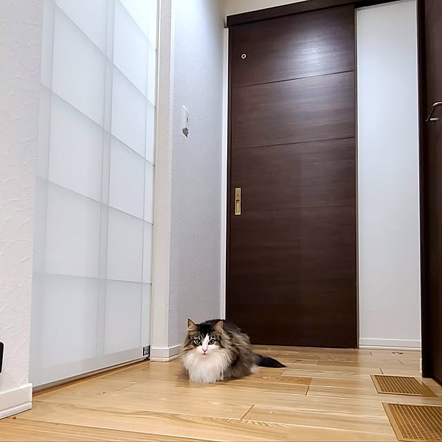 akiko6193さんの部屋