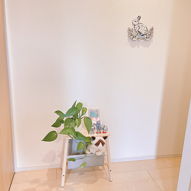 akiko-ovさんの部屋