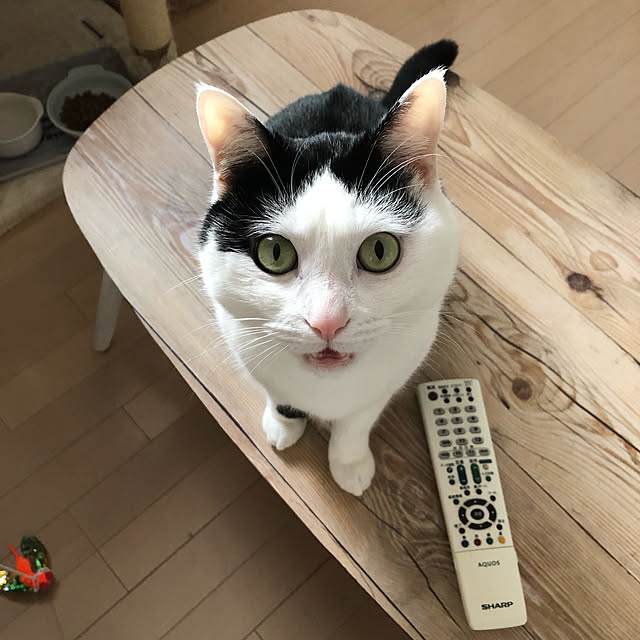 k.Iさんの実例写真