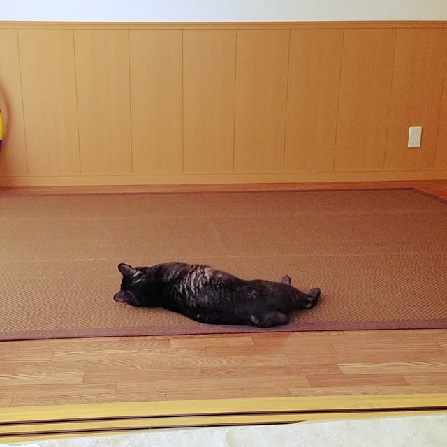 kurumiさんの実例写真