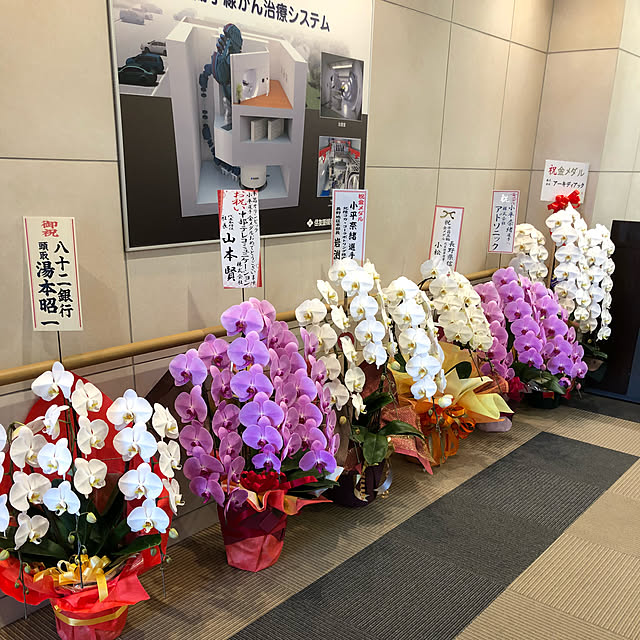 実例写真