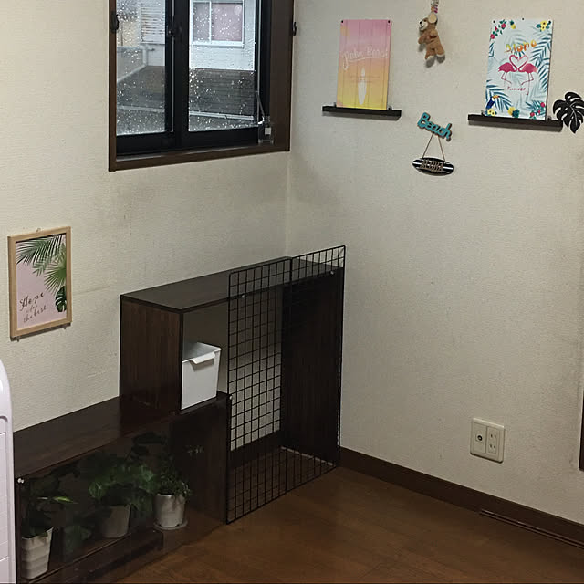 ayuさんの実例写真