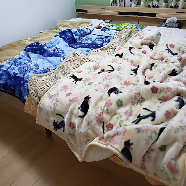 ukkyさんの実例写真