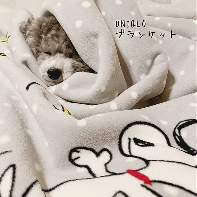 s.s.l_mikiさんの実例写真